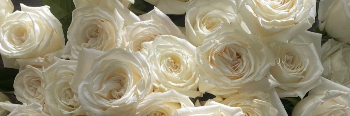 Ebru banner