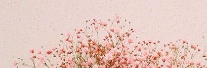 mekdisini's profile banner image