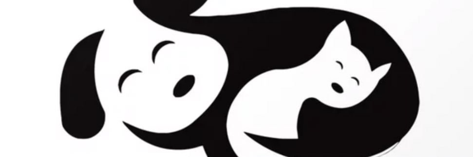 DogwifCat banner