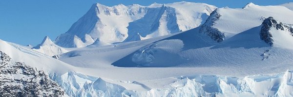 FishyYummy Profile Banner