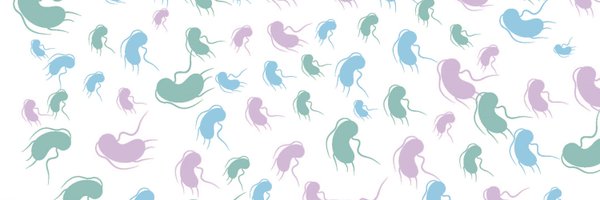 ChantsStudy Profile Banner