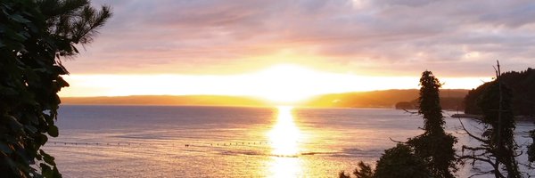 yuu355 Profile Banner