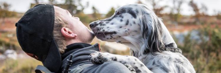 olahbpedersen's profile banner image