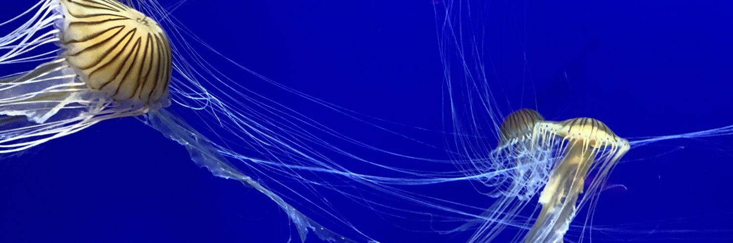 gab__p's profile banner image