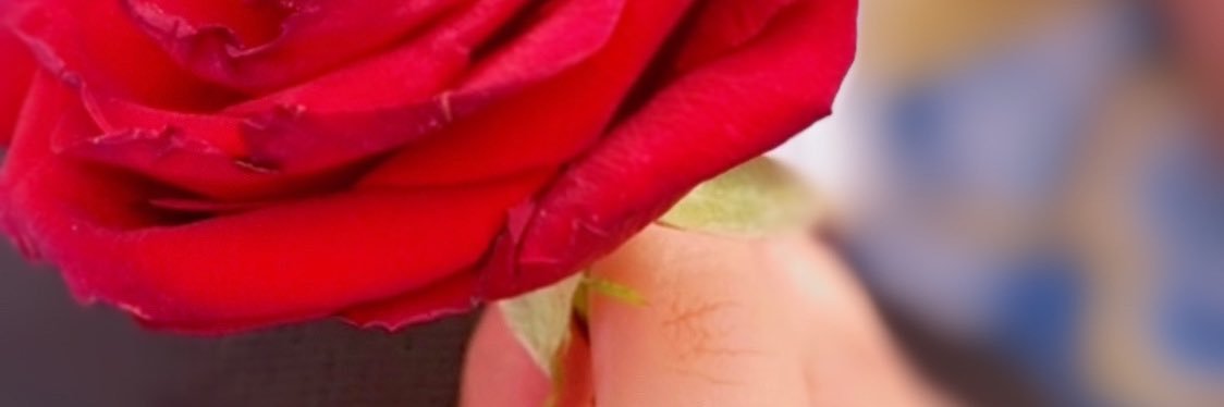 poiytr55's profile banner image