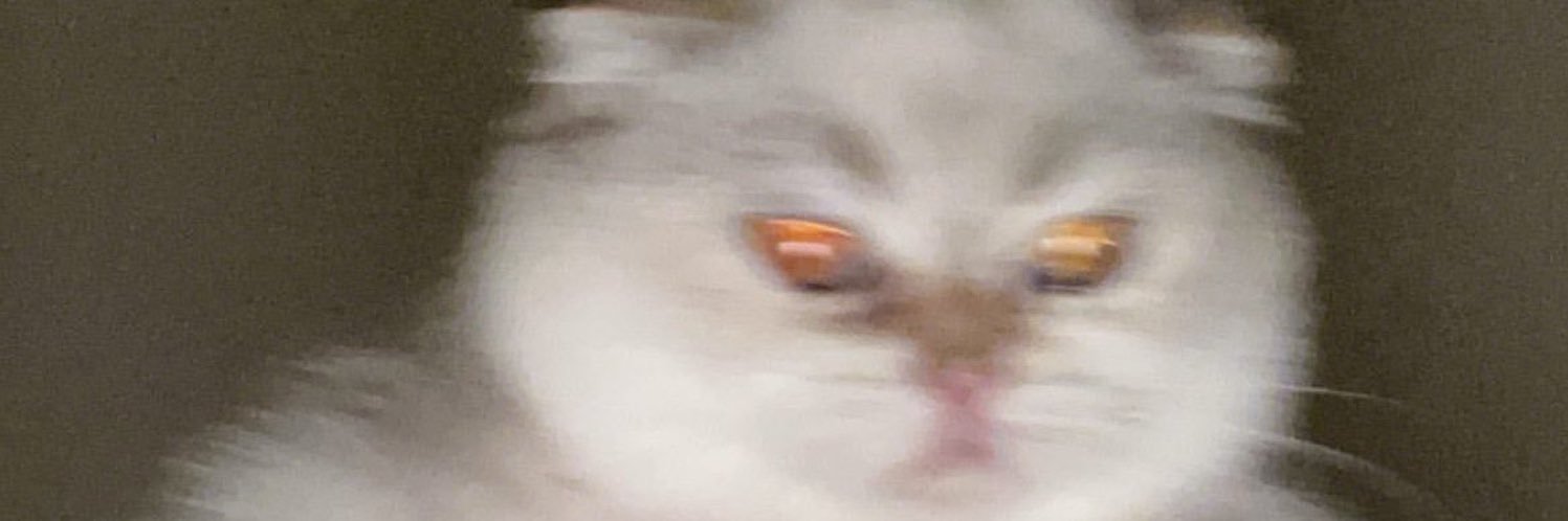 سام banner