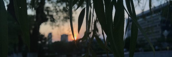 ZZ_Yan_ Profile Banner