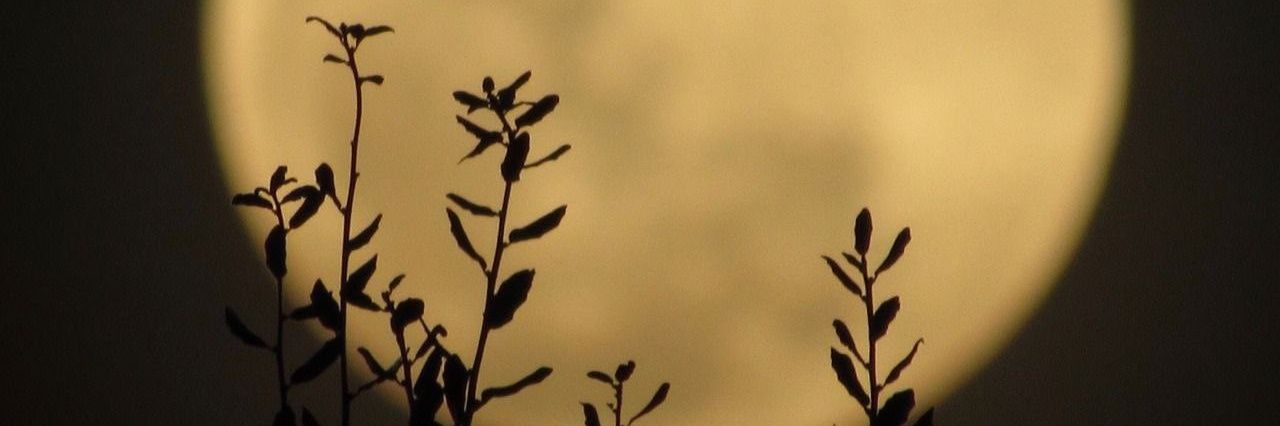 bdalbas63997413's profile banner image
