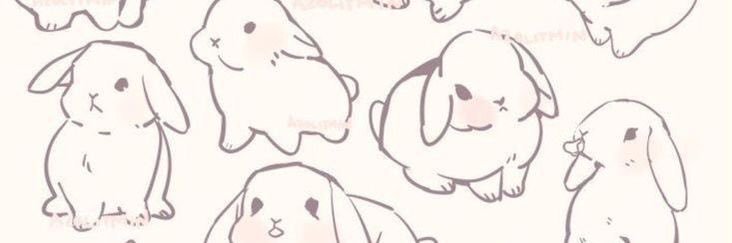 evereIIa's profile banner image