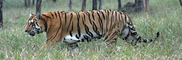 DNPWC_Nepal Profile Banner