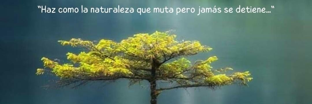 GD Pedro J. Caldera Pérez banner