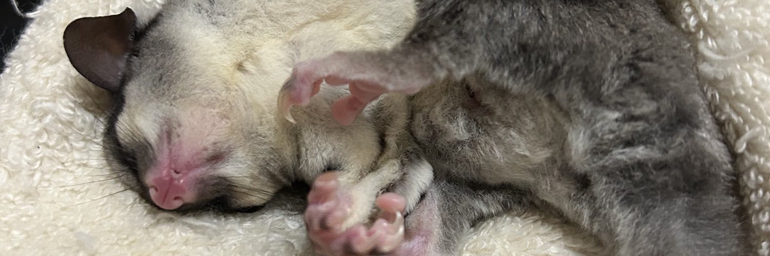 ヒバリーザとムー banner