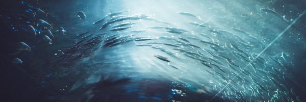 naviyk2022 Profile Banner