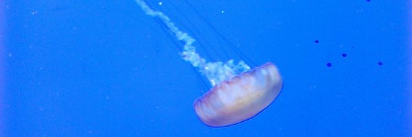 BJMcP Profile Banner