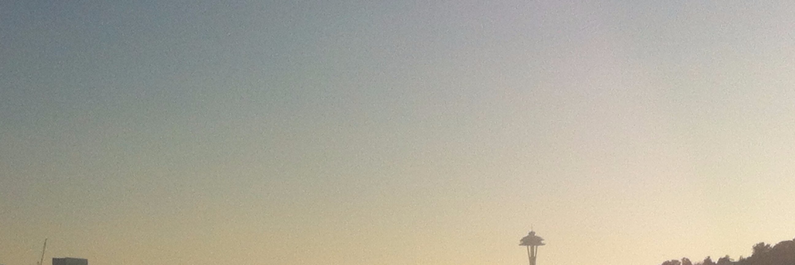 pacificryland's profile banner image