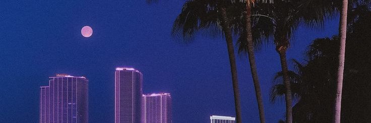 tɒʇʞɒq banner