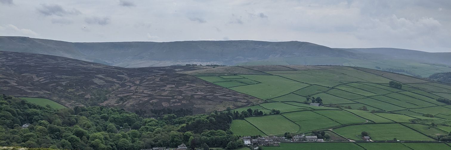 Zoltan Pepper banner