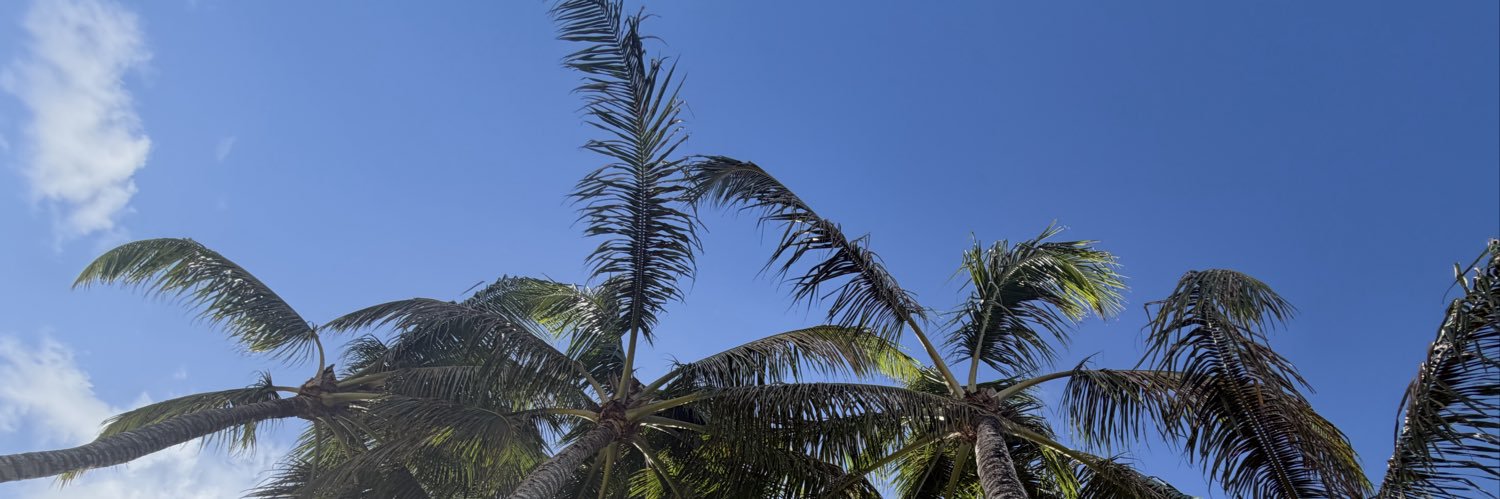 LaceyTaylorr's profile banner image