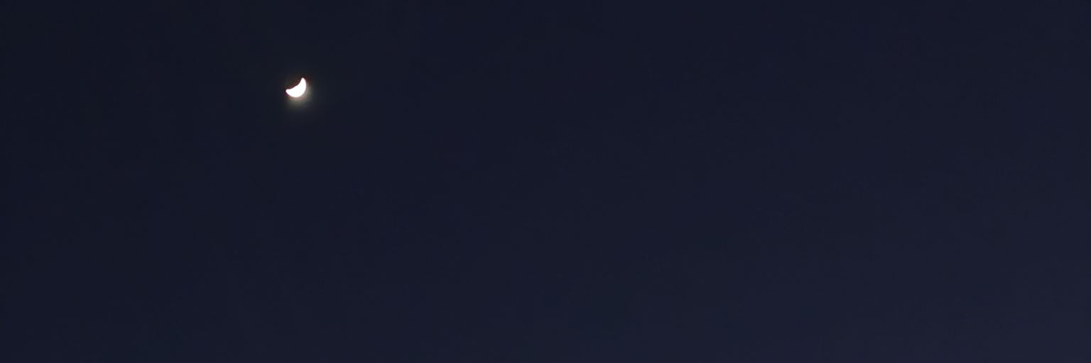 sef banner