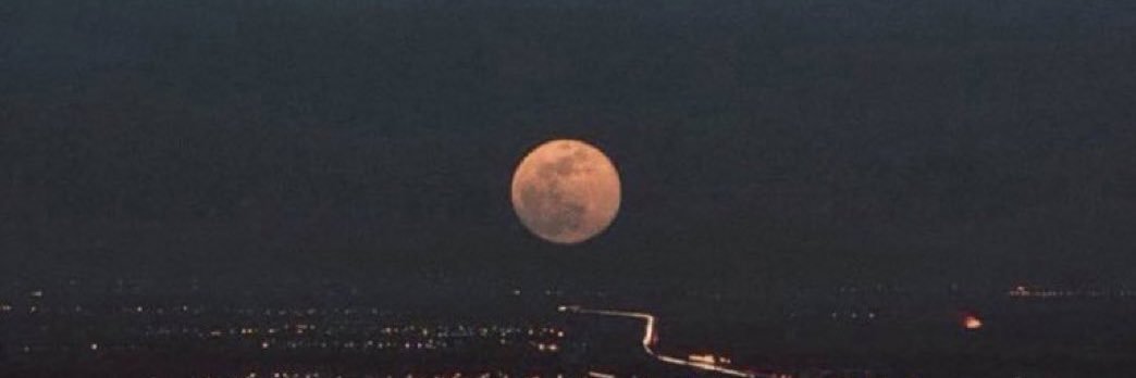 Meug69 banner