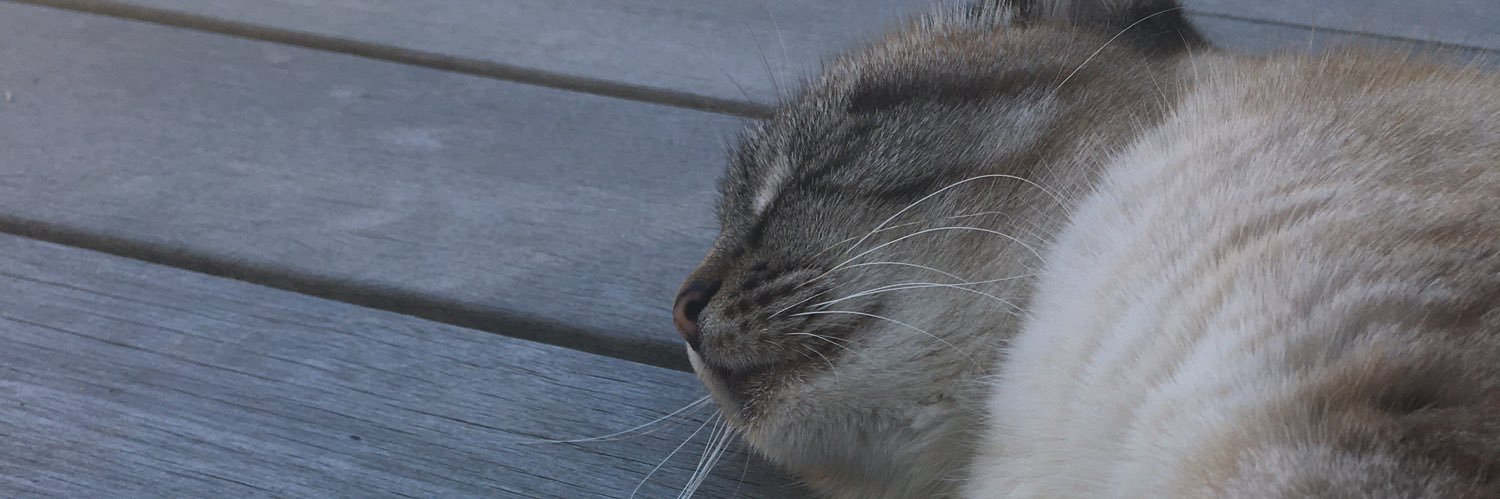 Kalilz_'s profile banner image