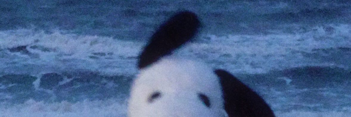 babyBeem98's profile banner image