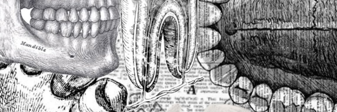 Dr_Sahll's profile banner image