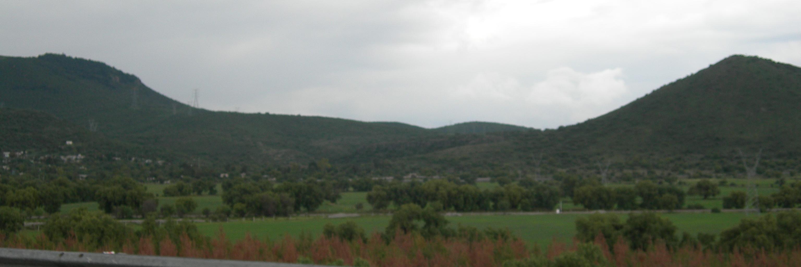 nestor islas banner
