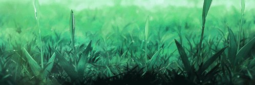 PomboPomboPombo banner