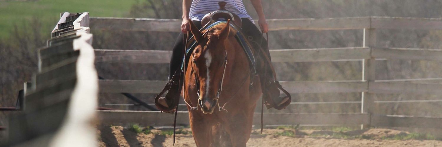leezanorby's profile banner image