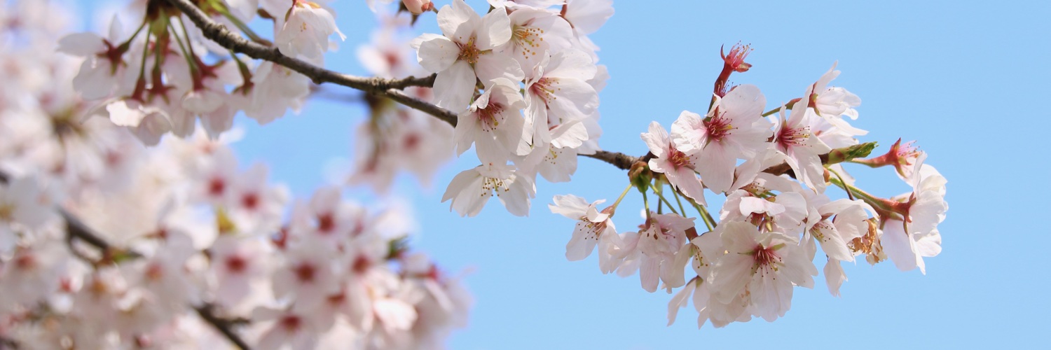 Gushwell / いでいひでゆき banner