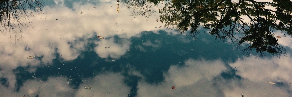 corolaska's profile banner image