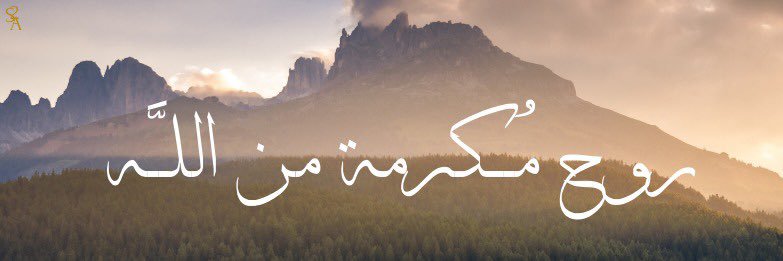 sumaeid's profile banner image