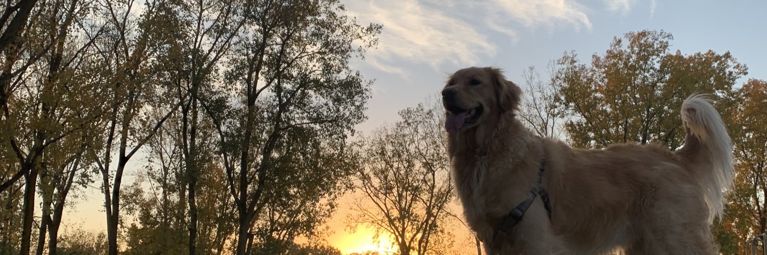 MikeGruszynski's profile banner image