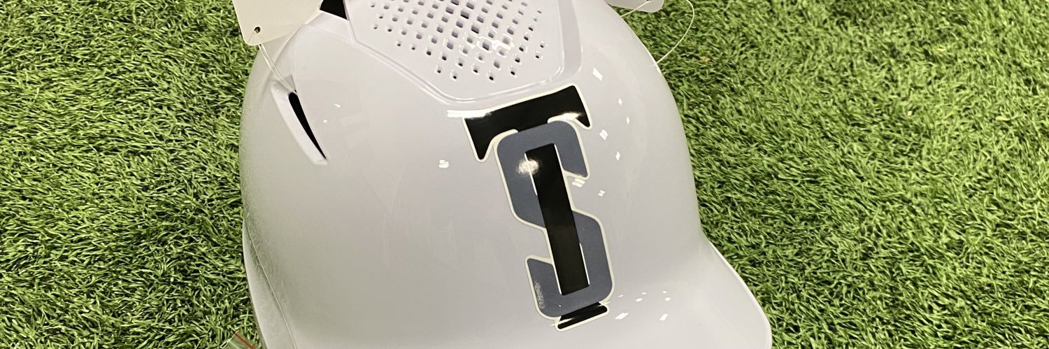 The School Baseball and Softball Academy banner