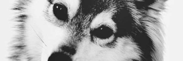 HereIsBoo's profile banner image