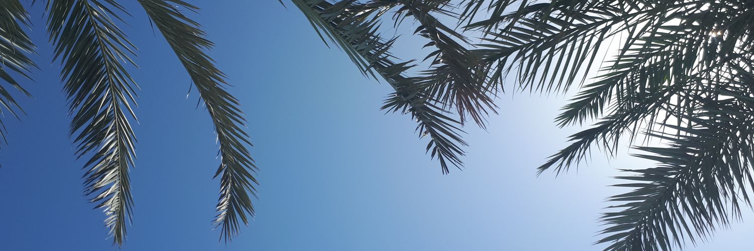Coline_Bdt's profile banner image