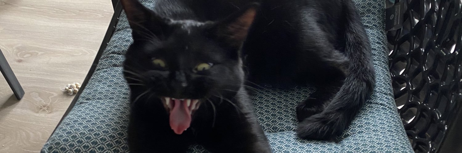 eniiirod's profile banner image