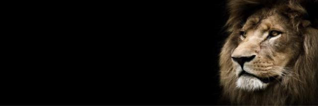 Credzhh's profile banner image