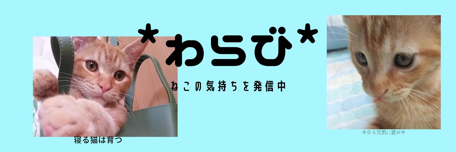 RIIL28388176's profile banner image