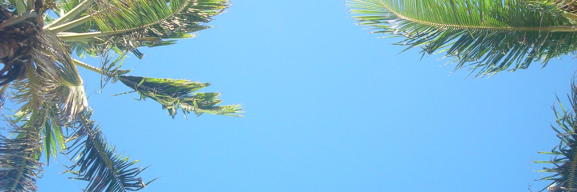 ValeBerger's profile banner image