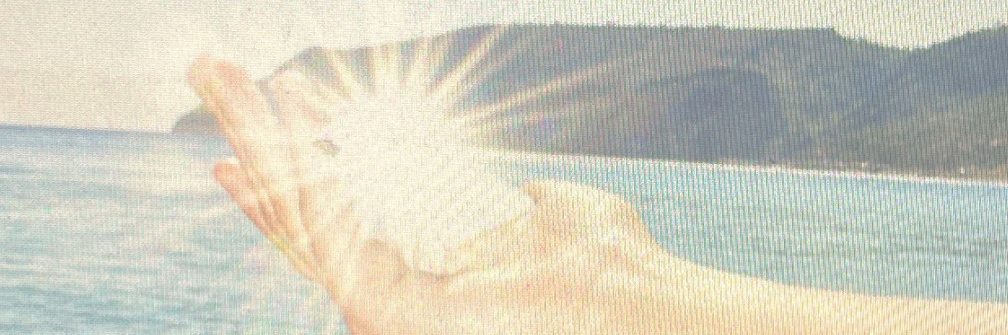 grothely's profile banner image
