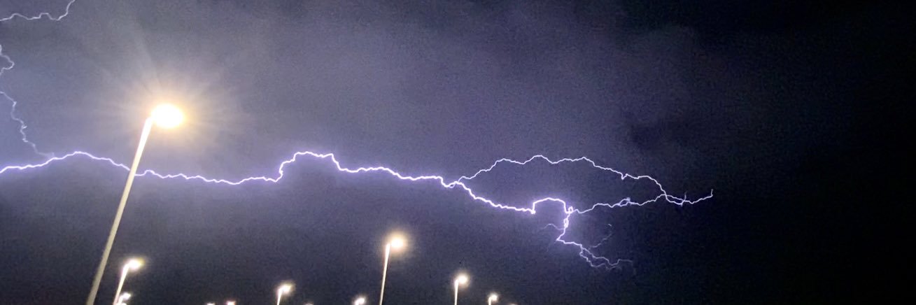 Camrynne Ellis banner