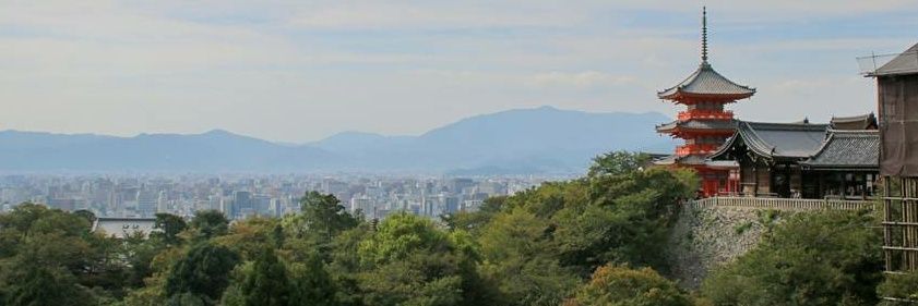 satorultrasonic's profile banner image
