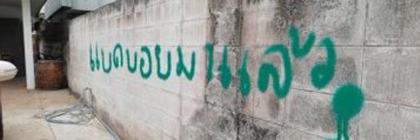 turtedty Profile Banner