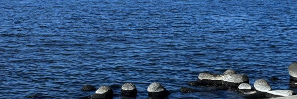 MERMAIDhitukumo Profile Banner