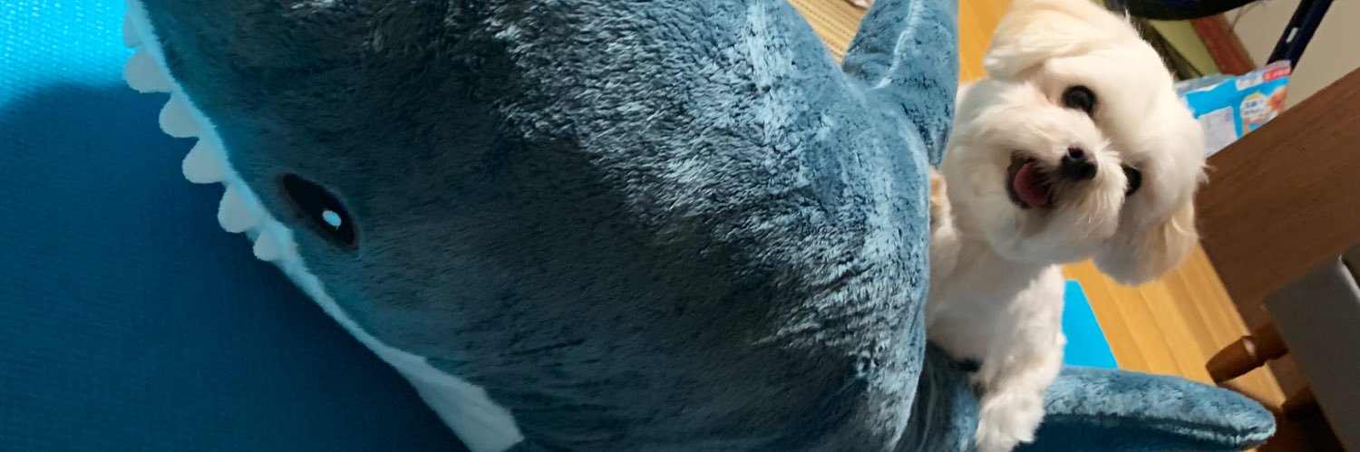 a__ryumin's profile banner image