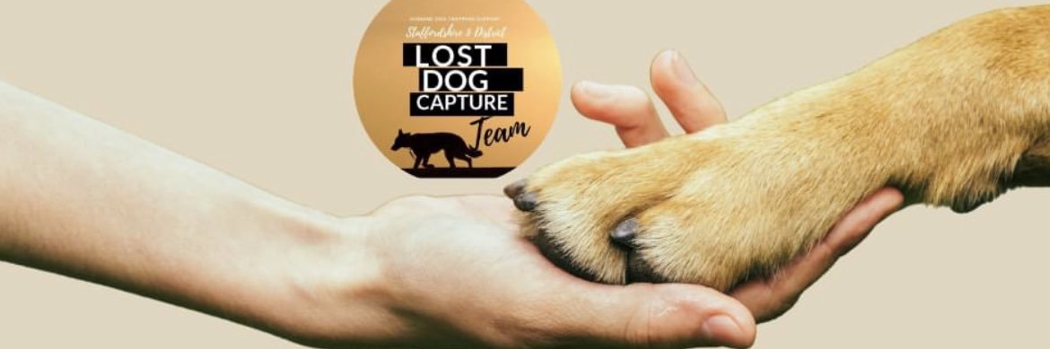 Dogspeek's profile banner image