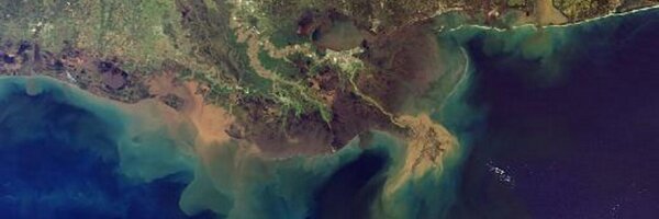 rrtwilley Profile Banner