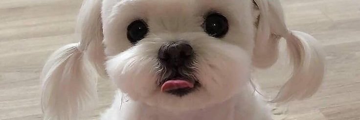 theyeaahhh's profile banner image